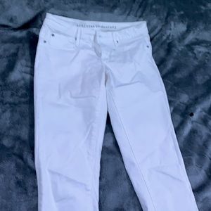 Articles of Society pants